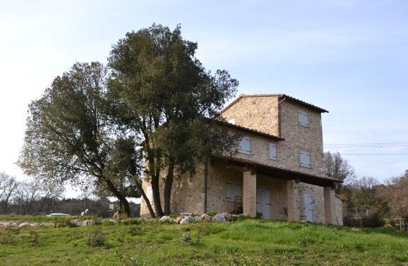 Agriturismo Surripa Amelia Exterior photo